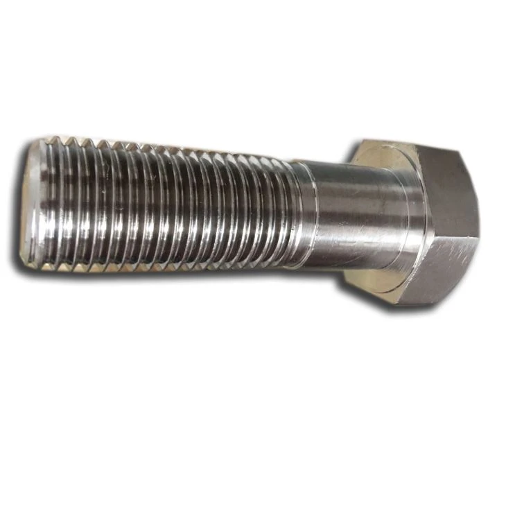 SS316 Bolt Nut